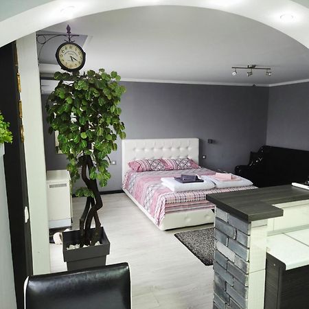 Savic Apartment Center - Parking Free Ni Eksteriør bilde
